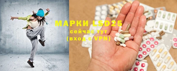 PSILOCYBIN Беломорск